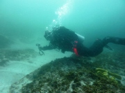 Advanced Open Water dives on Julian Rocks